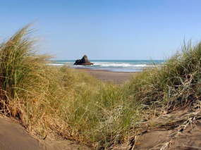 Nouvelle-Zélande - Auckland - Bush and Beach