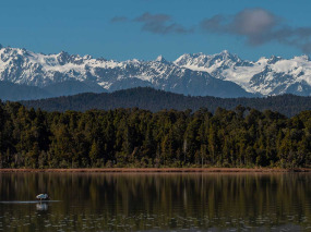 Nouvelle-Zélande - Franz Josef - Okarito Eco Boat Tours