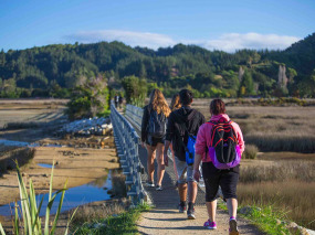 Nouvelle-Zélande - Ile du Sud - Abel Tasman National Park © Stray Travel NZ