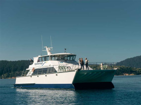 Nouvelle-Zélande - Marlborough Sounds - Croisière dans le Queen Charlotte © Marlborough Tour Company