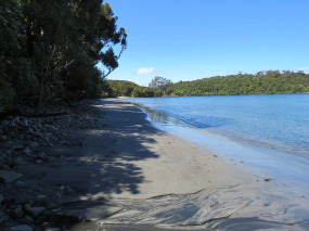 Nouvelle-Zélande - Stewart Island - Rakiua Great Walk © Ruggedy Ranges