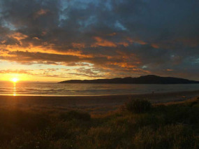 Nouvelle-Zélande - Wellington - Rencontre avec les kiwis de Kapiti, inclus nuit sur l'île