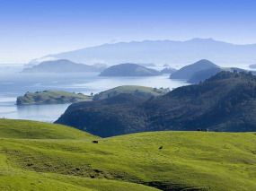 Nouvelle-Zélande - Péninsule de Coromandel