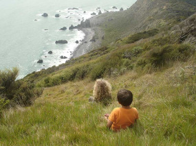 Nouvelle-Zélande - Wellington - Visite de l'île de Kapiti à la journée