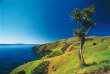 Nouvelle Zélande - Péninsule de Coromandel