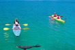 Nouvelle-Zélande - Abel Tasman National Park - Kayak et randonnée guidée dans le Parc national d'Abel Tasman