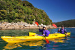 Nouvelle-Zélande - Abel Tasman National Park - Kayak à la rencontre des phoques et marche dans la forêt ou plage