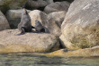 Nouvelle-Zélande - Abel Tasman National Park - Après-midi de croisière le long de la côte du Parc national d'Abel Tasman