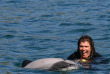 Nouvelle-Zélande - Akaroa - Nager avec les dauphins d'Akaroa