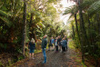 Nouvelle-Zélande - Auckland - Bush and Beach