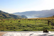 Nouvelle-Zélande - Banks Peninsula - Port Levy - Pohue PurePod