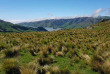 Nouvelle-Zélande - Banks Peninsula - Port Levy - Pohue PurePod