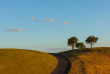 Nouvelle-Zélande - Bay of Islands - Rosewood Kauri Cliffs