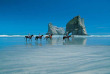 Nouvelle-Zélande - Cape Farewell - Randonnée guidée à cheval sur la plage de Wharariki © Tourism New Zealand, Tony Brunt