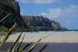 Nouvelle-Zélande - Catlins - Catlins Mohua Park