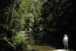 Nouvelle-Zélande - Catlins - Catlins Mohua Park