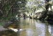 Nouvelle-Zélande - Catlins - Catlins Mohua Park