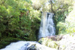 Nouvelle-Zélande - Catlins - Catlins Mohua Park