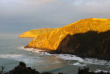 Nouvelle-Zélande - Catlins - Catlins Mohua Park