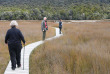 Nouvelle-Zélande - Catlins - Catlins Mohua Park