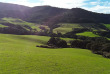 Nouvelle-Zélande - Catlins - Catlins Mohua Park