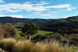 Nouvelle-Zélande - Catlins - Catlins Mohua Park