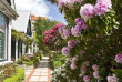 Nouvelle-Zélande - Christchurch - Orari Bed and Breakfast