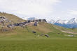 Nouvelle-Zélande - La TranzAlpine