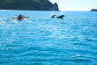 Nouvelle-Zélande - Coromandel - Cathedral Cove Kayak Tours