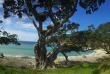 Nouvelle-Zélande - Coromandel - Randonnée sur la côte sauvage du Nord de Coromandel