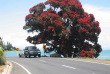 Nouvelle-Zélande - Auckland - Excursion dans la péninsule de Coromandel