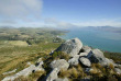 Nouvelle-Zélande - Dunedin - Croisière Monarch Cruises dans le port d'Otago et Observation de la faune marine © DunedinNZ