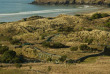 Nouvelle-Zélande - Dunedin - Larnach Castle, Croisière et Penguin Place