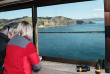 Nouvelle-Zélande - Dunedin - Visite guidée au Royal Albatross Centre