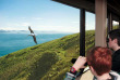 Nouvelle-Zélande - Dunedin - Visite guidée au Royal Albatross Centre