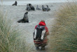 Nouvelle-Zélande - Dunedin - Faune sauvage de la péninsule d'Otago sous toutes ses coutures