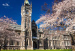 Nouvelle-Zélande - Highlights de Christchurch - Auckland - Dunedin © Tourism Dunedin