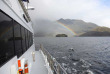 Nouvelle-Zélande - Te Anau - Croisière dans le Doubtful Sound à bord du MV Southern Secret