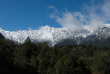 Nouvelle-Zélande - Fox Glacier - Fox Glacier Lodge