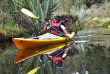 Nouvelle-Zélande - Franz Josef  - Kayak sur le lac Mapourika et marche dans la forêt jurassique