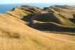 Nouvelle-Zélande - Hawke's Bay - Cape Kidnappers - Gannet safaris Overland