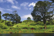 Nouvelle-Zélande - Rotorua - Découverte du village de Hobbiton