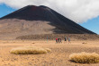 Nouvelle-Zélande - Ile du Nord - Tongariro National Park © Flying Kiwi