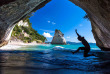 Nouvelle-Zélande - Ile du Nord - Hahei Beach © Stray Travel NZ