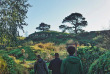 Nouvelle-Zélande - Ile du Nord - Hobbiton © Stray Travel NZ