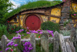 Nouvelle-Zélande - Ile du Nord - Hobbiton © Stray Travel NZ