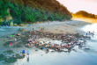 Nouvelle-Zélande - Ile du Nord - Hot Water Beach © Stray Travel NZ