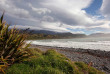 Nouvelle-Zélande - Ile du Sud - Kaikoura © Flying Kiwi