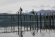 Nouvelle-Zélande - Ile du Sud - Te Anau, Lake2lake cycle trail © Flying Kiwi, Great South