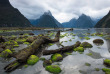 Nouvelle-Zélande - Ile du Sud - Milford Sound © Flying Kiwi, Richard Young